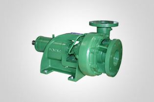Deming End Suction Pump