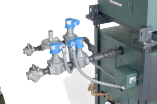 Raypak Hi Delta FlexGas